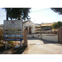 Load image into Gallery viewer, Mystakelli - Feta Cheese P.D.O. from Lesvos (Mytilene) - 1kg